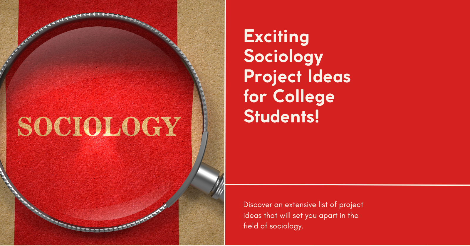 sociology research project ideas